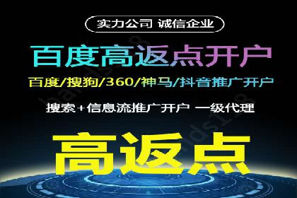 竞价推广公司案例揭秘：如何利用数据分析提升广告效果