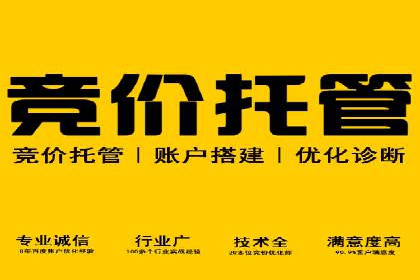 百度竞价个人账户开户技巧：成功案例分享与解析